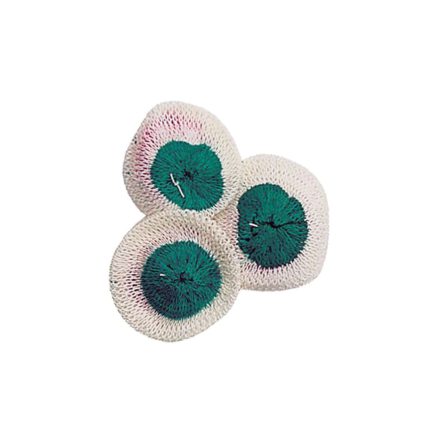 Small Lantern Mantles - 3-Pack