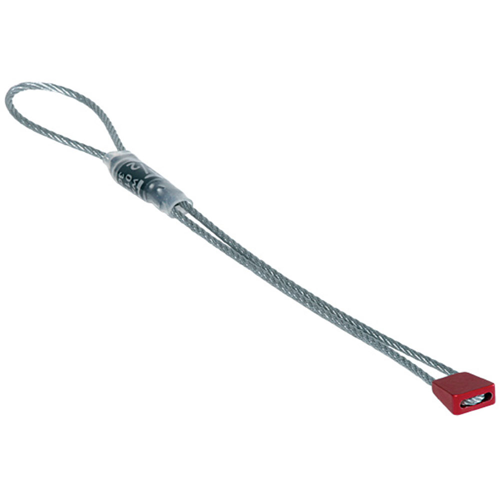 Micro Wallnuts (Spring 2022) - Image 4