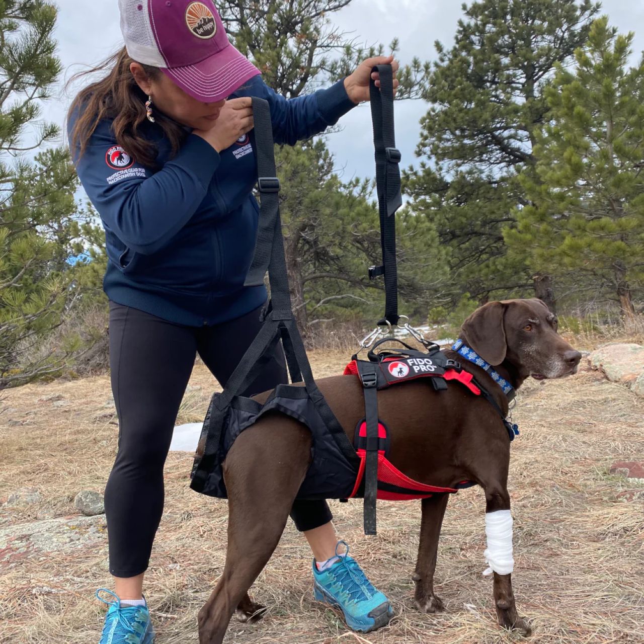 The Panza 4-in-1 Trail Harness - Image 5