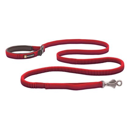 Roamer Leash