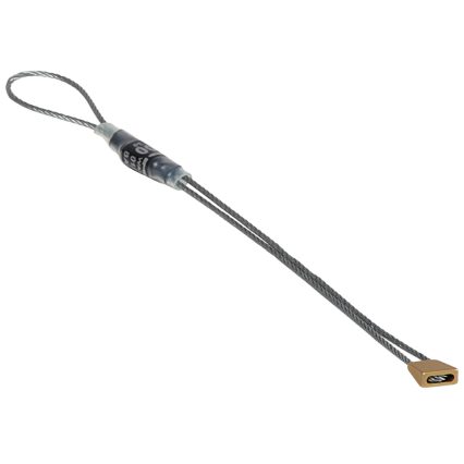 Micro Wallnuts (Spring 2022)