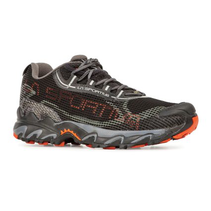Wildcat 2.0 GTX - Men's (Spring 2024)